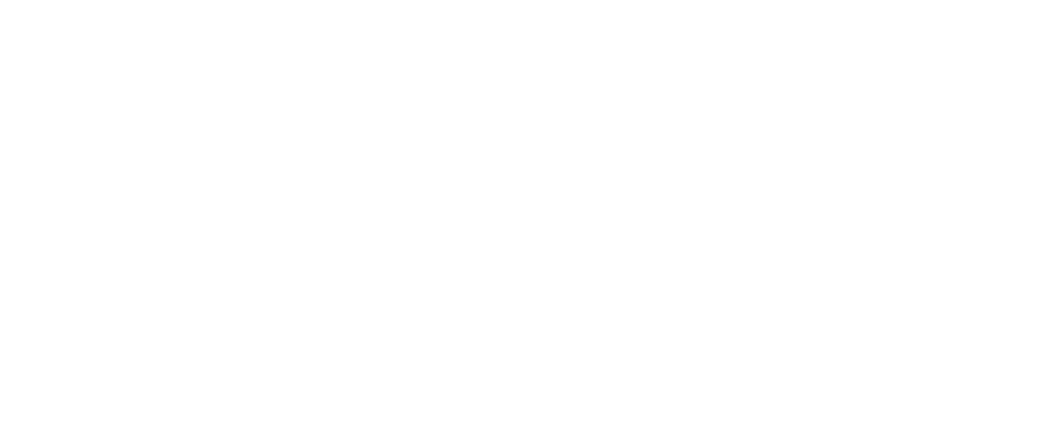 This is the white version logo of DTPay Union.